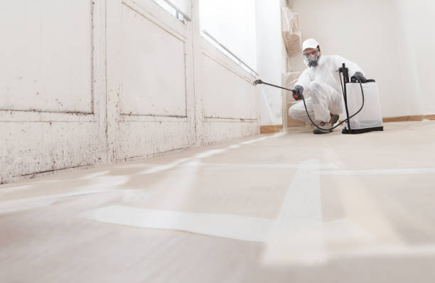 24/7 Emergency Mold Remediation experts in Lottsburg, VA